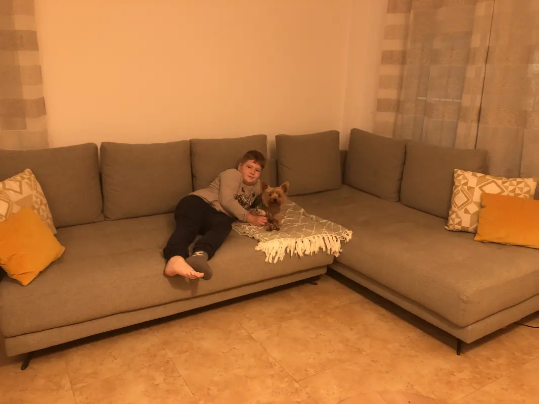 nuestro hijo y perro están contentos con el sofá