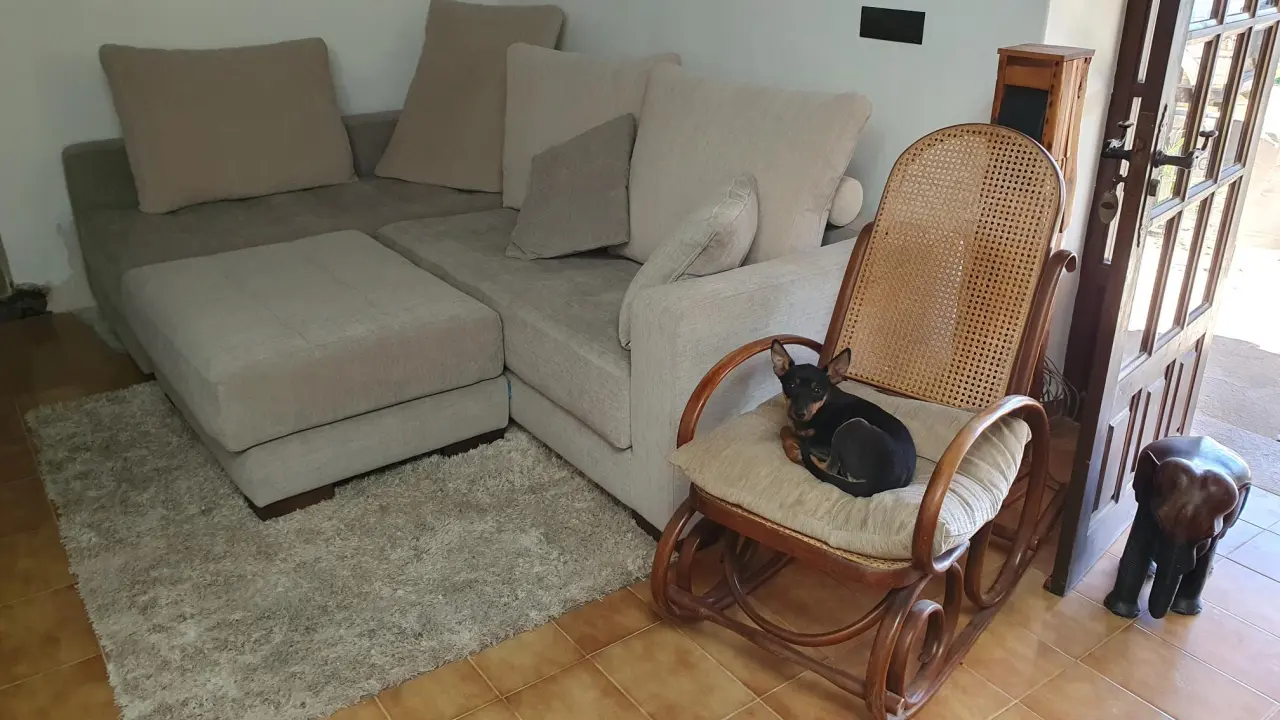 No me dejan usar sofa, quiero mi sillón Lenny tapizado