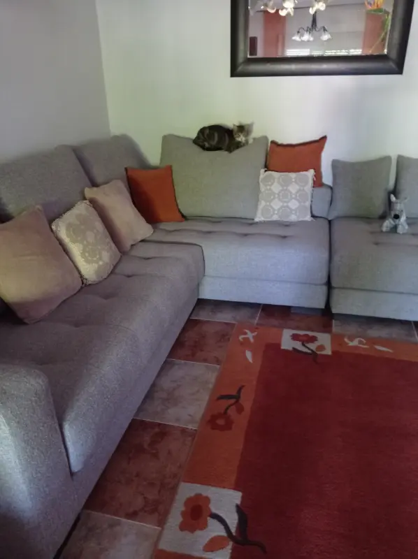 My cat enjoying the sofa