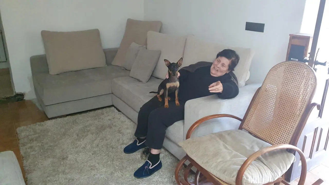 Presentando sofa suegra y mascota