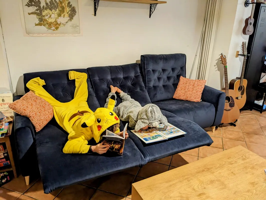 Funny animals reading on the sofa