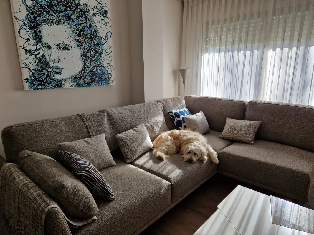 A Max le gusta el sofá nuevo.