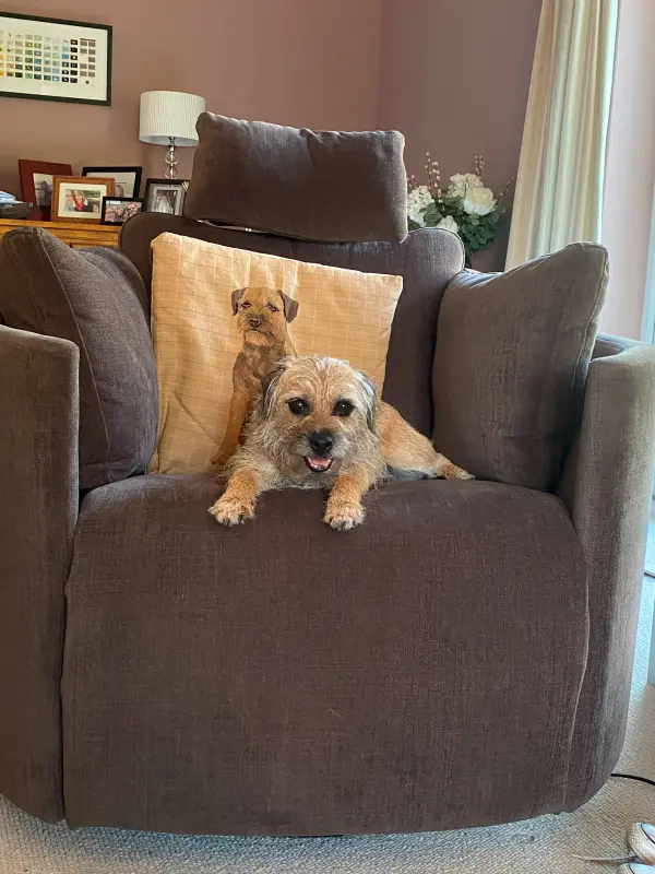 What do you mean, this is your chair?