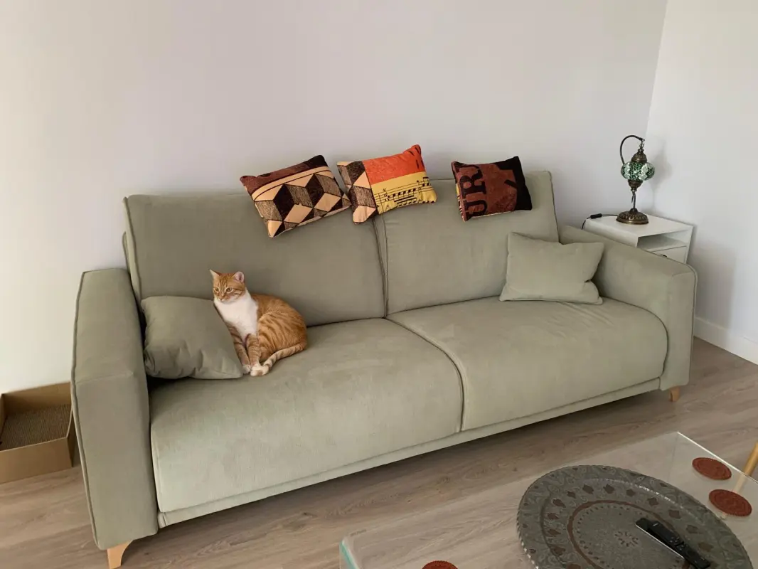 Ginger en el sofa
