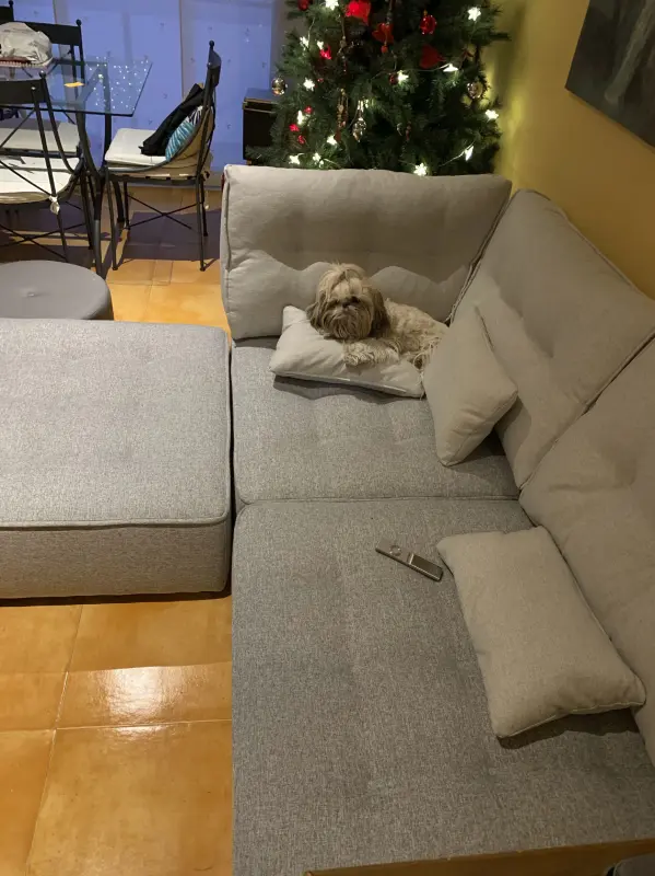 El sofá es mío!