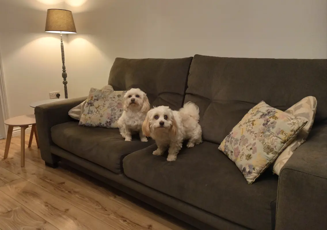 Lords of the Manor Approve Sofa Choice!