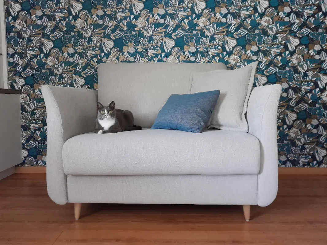Chat-l'heureux