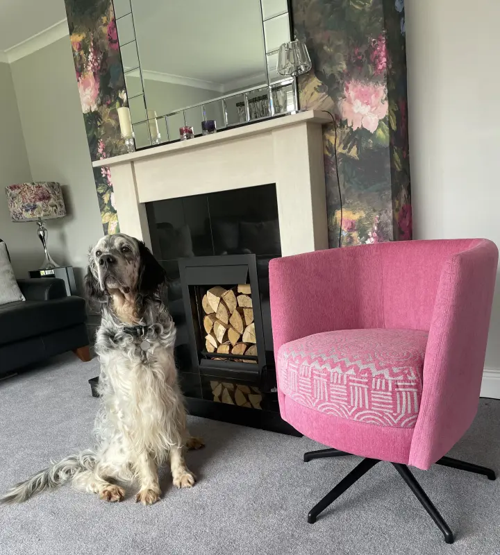 Parsnip’s new chair lol