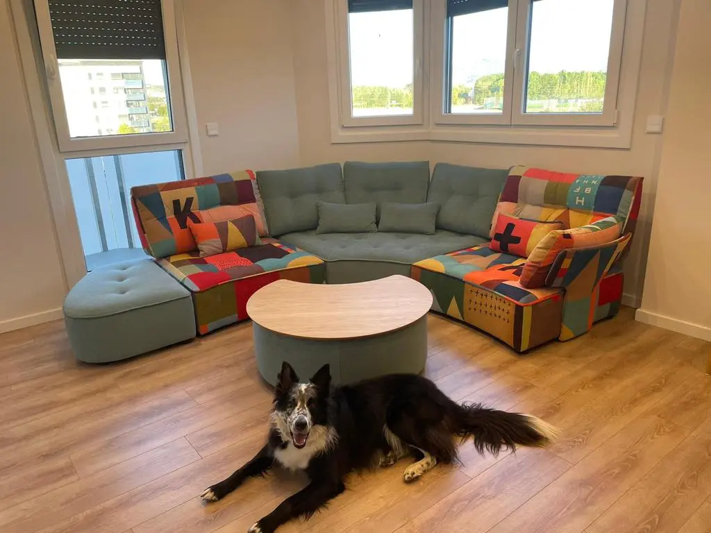 Siesteando entre arte