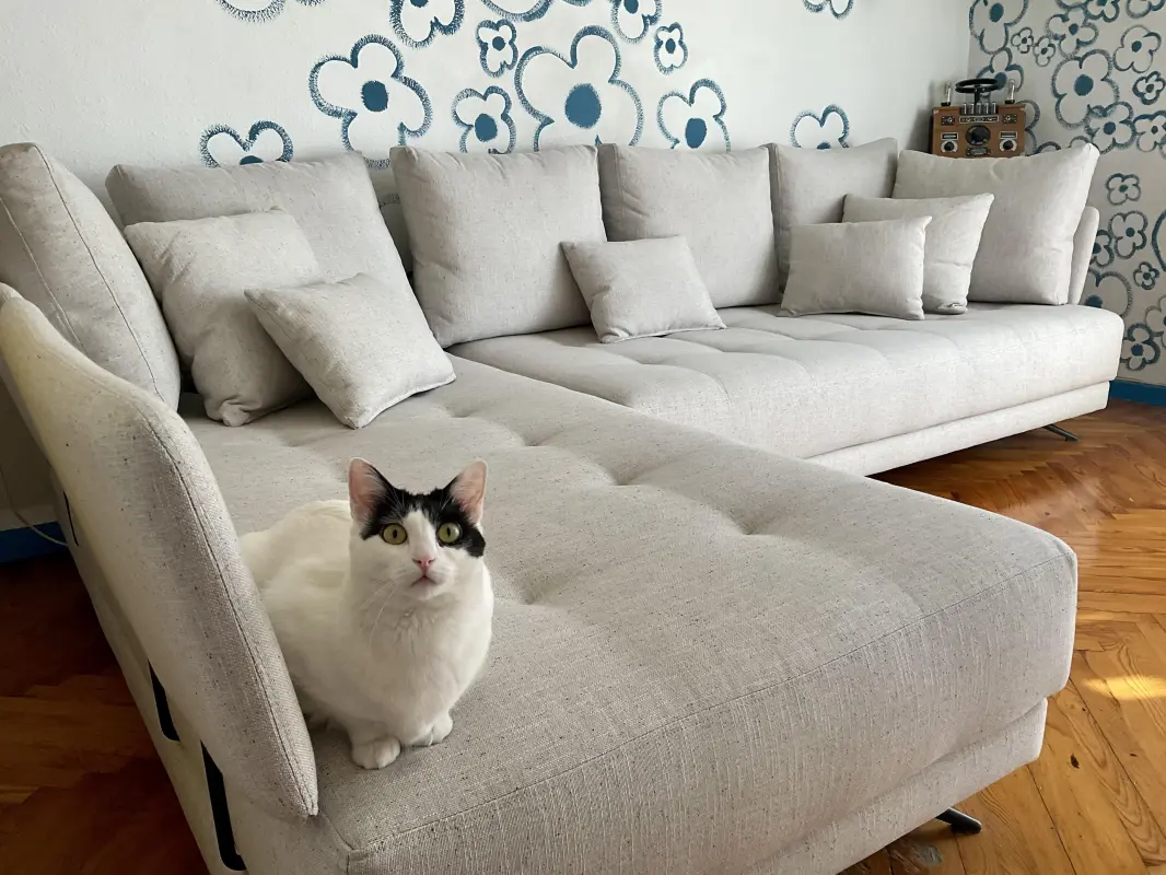 El sofá de Loto