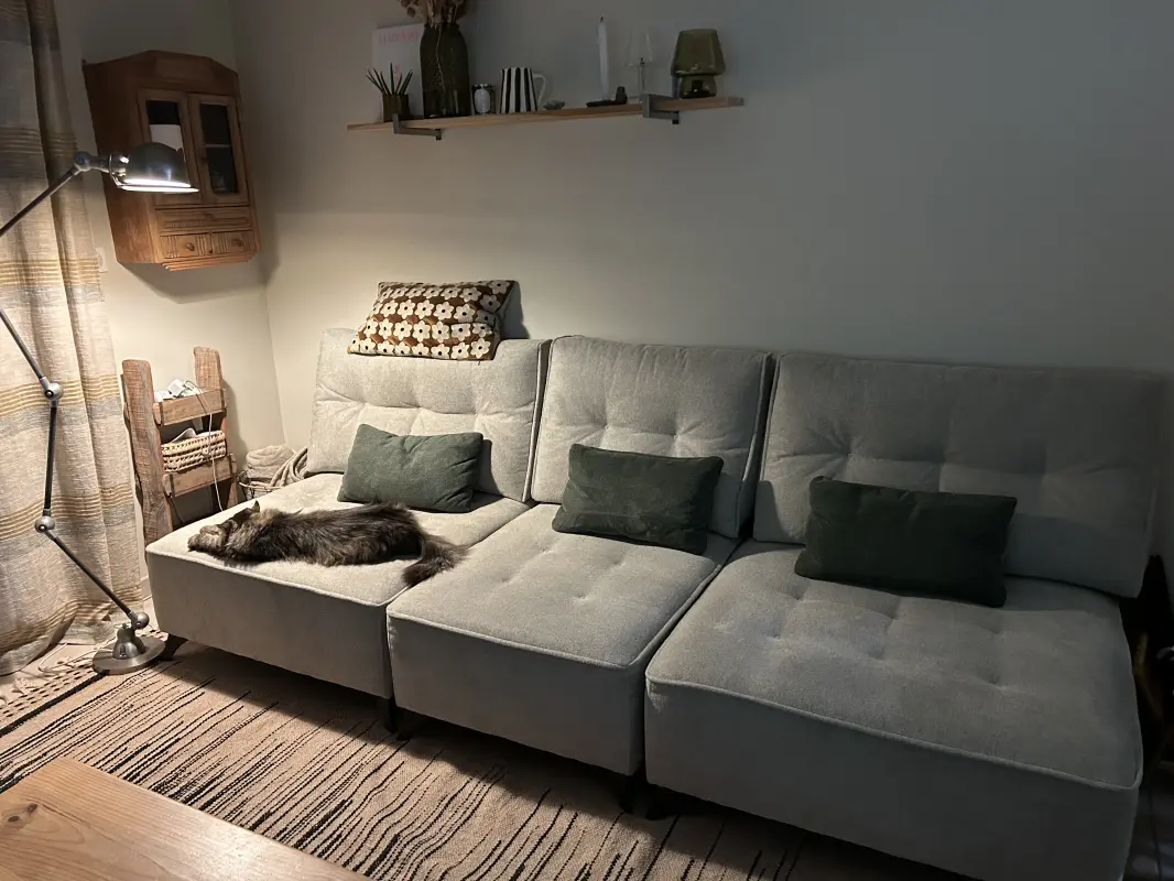 Chat sur canapé