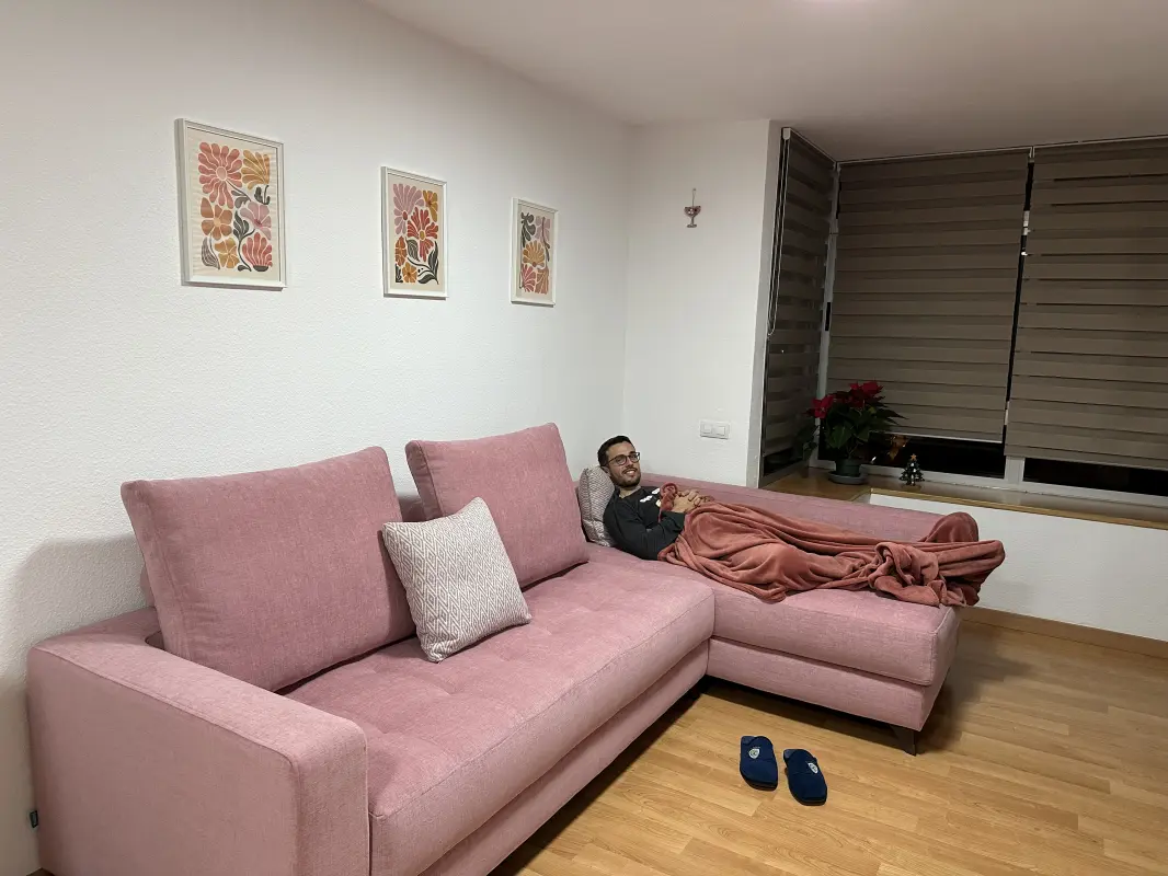 Dissfrutón