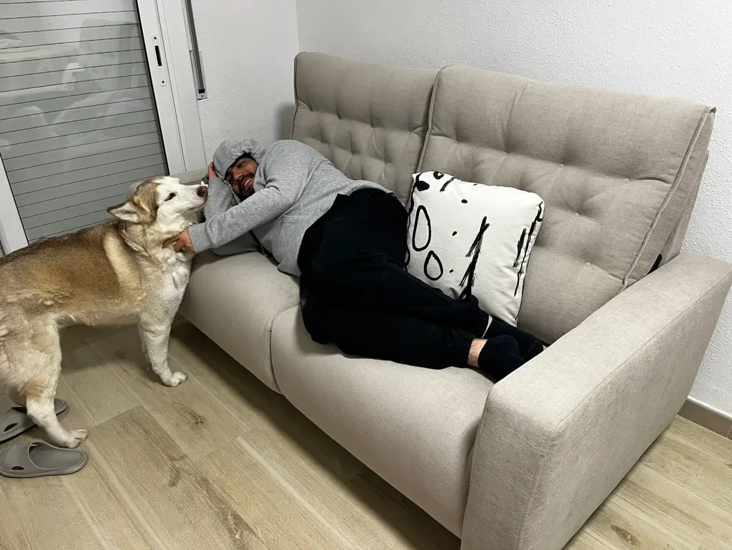 Papa, dejame subir al sofa