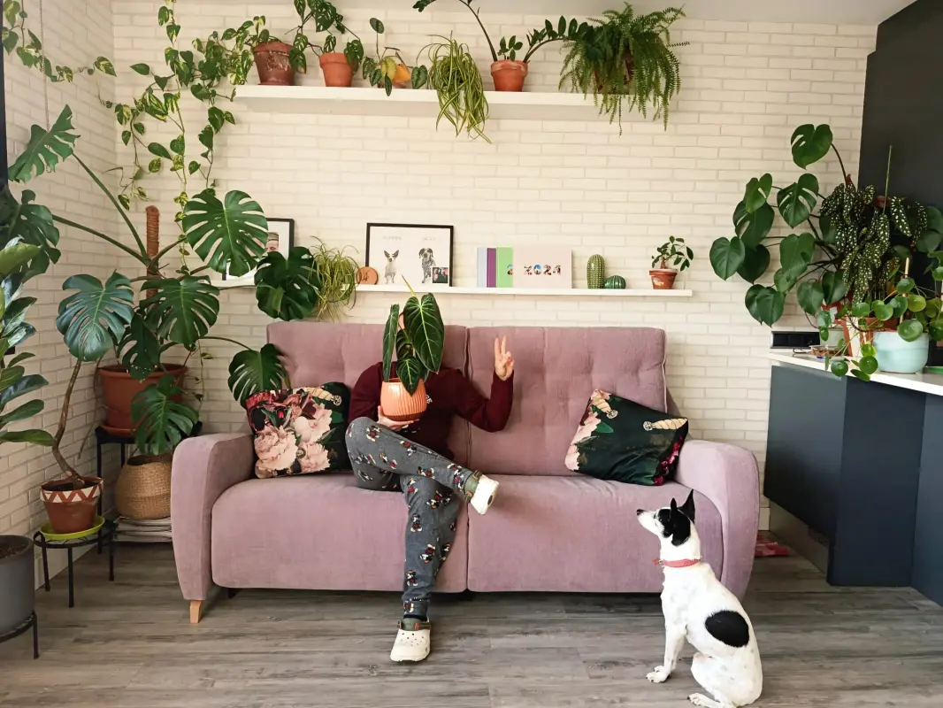 Sofa Salvaje