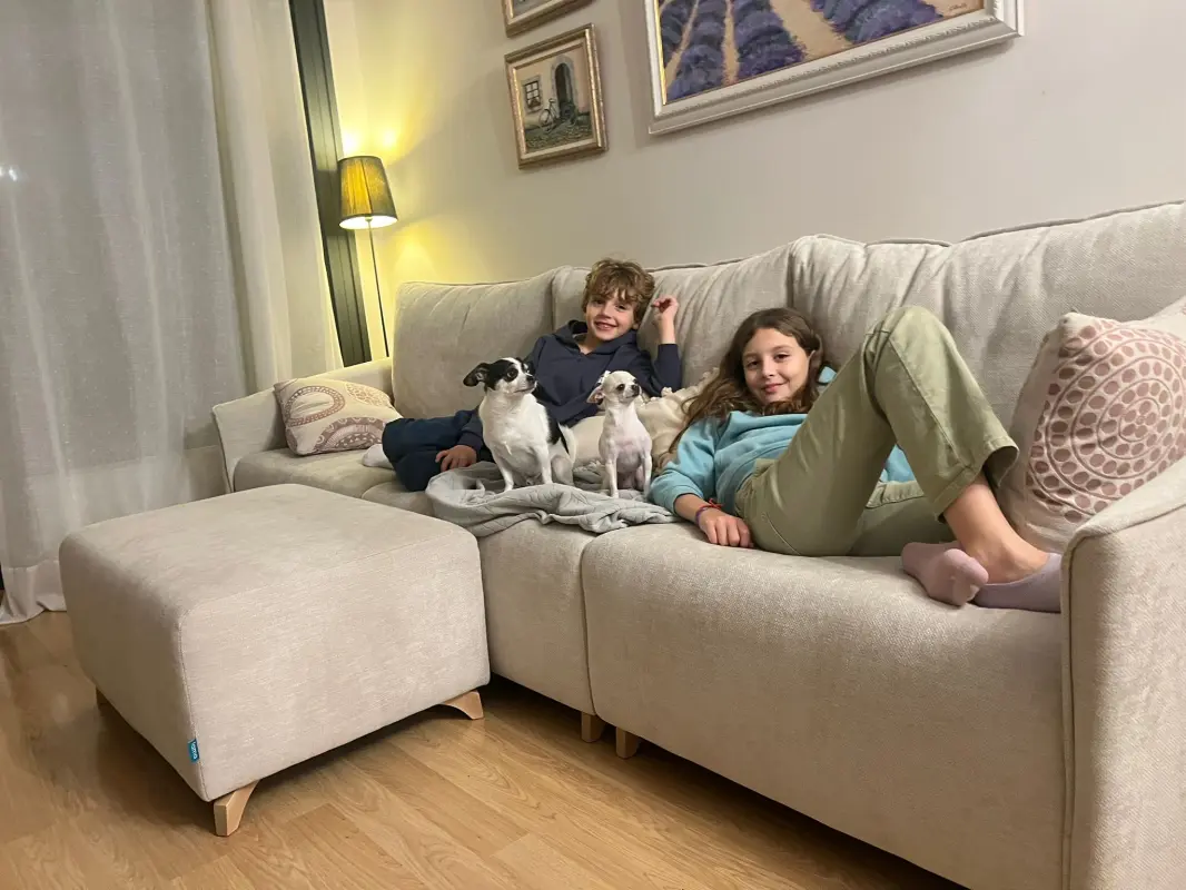 Domingos de sofá, mantita y perritos.