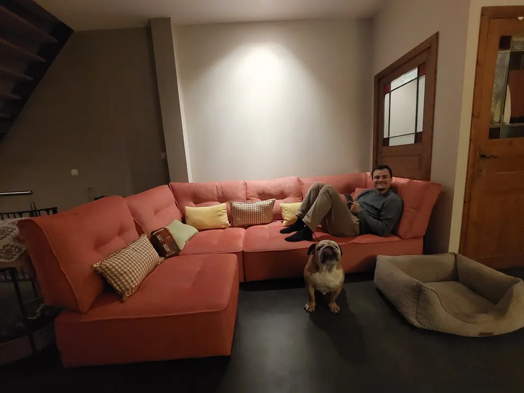 De zetel is heel comfortabel, zó comfortabel dat de hond er ook in zou willen...