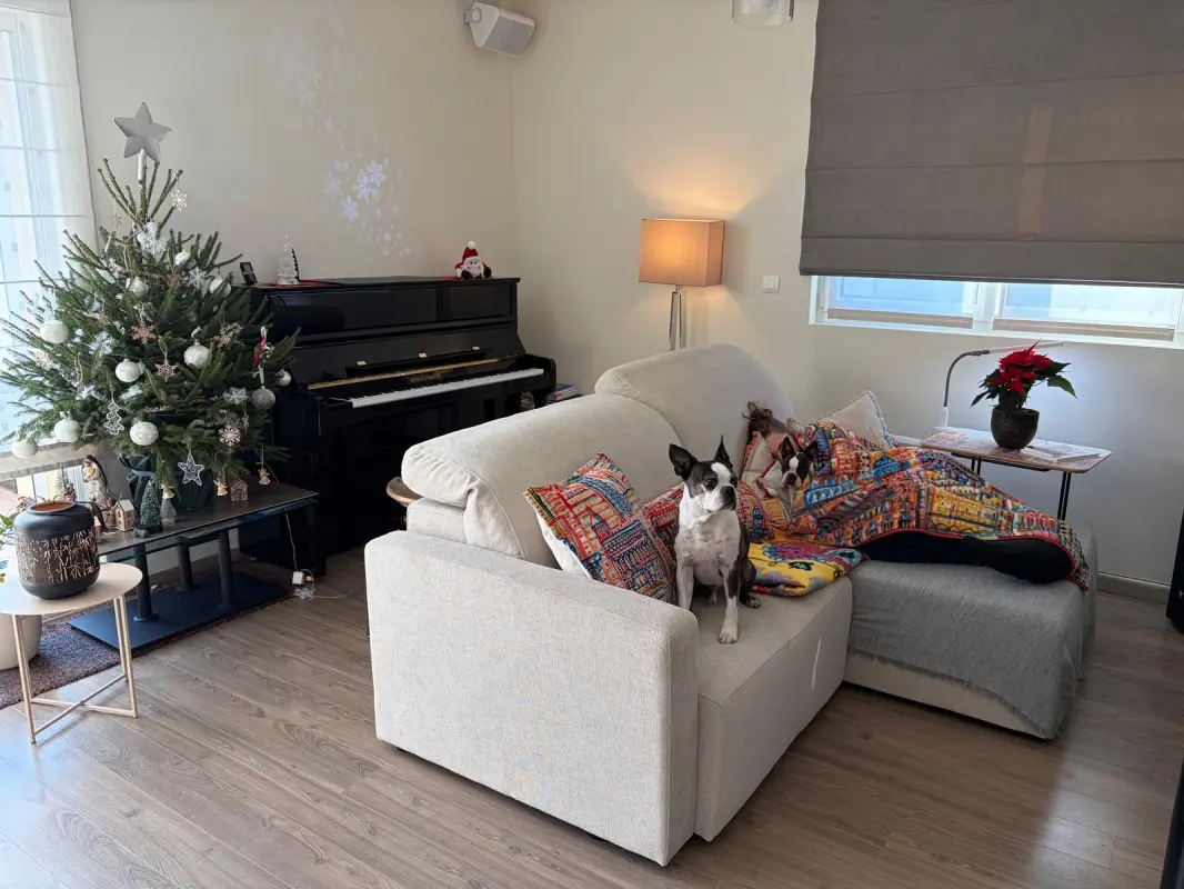 Sieste de Noël
