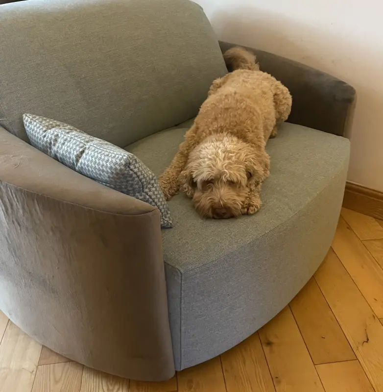 Rapha’s Rest