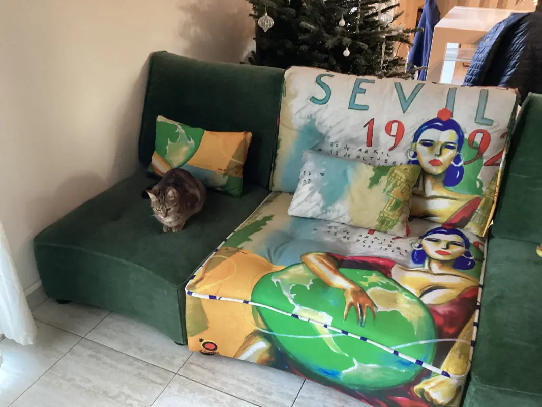 Avec le chat