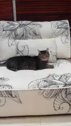 Mi sofá