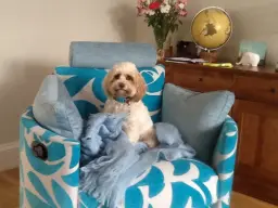 Isla pleased as punch