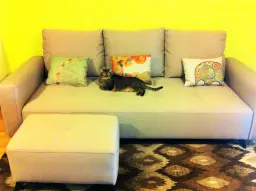 Experta en comodidad