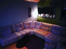 Sox's the dog...loving her new fama furniture