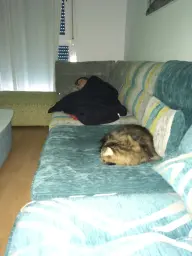 MAS AGUSTO QUE EN BRAZOS