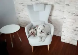 Ellos prefieren FAMA