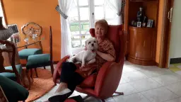 Mi nuevo sillón Lenny