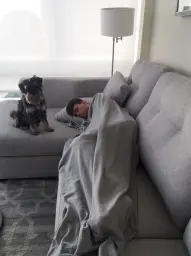 El guardian de mi siesta