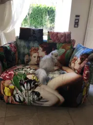 Myrtille sur Moonrise xl