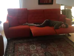 "Celia durmiendo a sus anchas