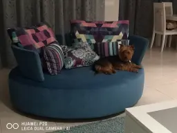 Para todos los públicos