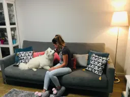 La vida perruna es una vida feliz (Nube)