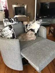 WILLY Ouvrier classe supérieure