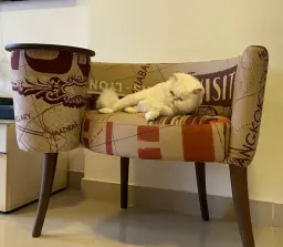 Our Jenny Enjoying Fama Sofa