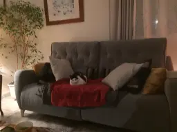 Mimie sur son Avalon