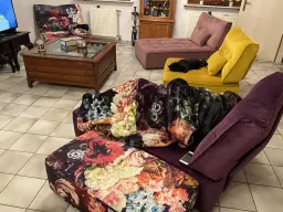 Cat loves Arianne too !