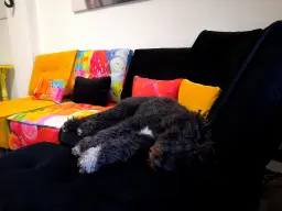 Amor a primera vista