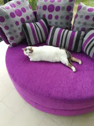 Aussitôt adopté par Lucien qui prend ses aises