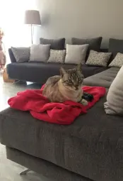 “Por fin sólo...”