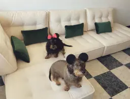 Cans in love con Famaliving