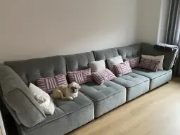 Pepe disfruta de un buen descanso