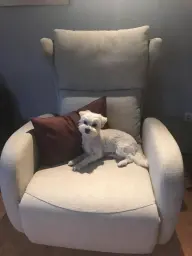 Capitán en su lugar favorito