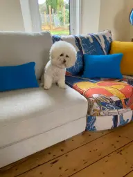 Fama is for everyone