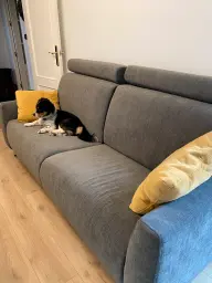 Otro más de la familia