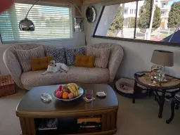 El mejor amigo del perro es el sofa