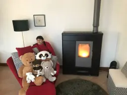 Les ours envahissent le fautueil