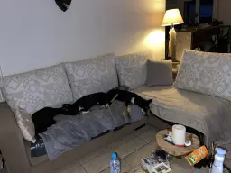 Trop cool notre dodo 🥰